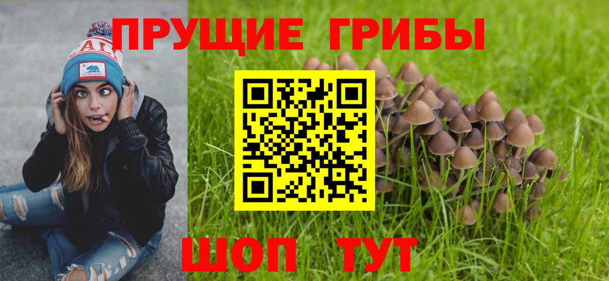 Галлюциногенные грибы Psilocybine cubensis  Вход с VPN  Новотроицк  Галлюциногенные грибы мухоморы 